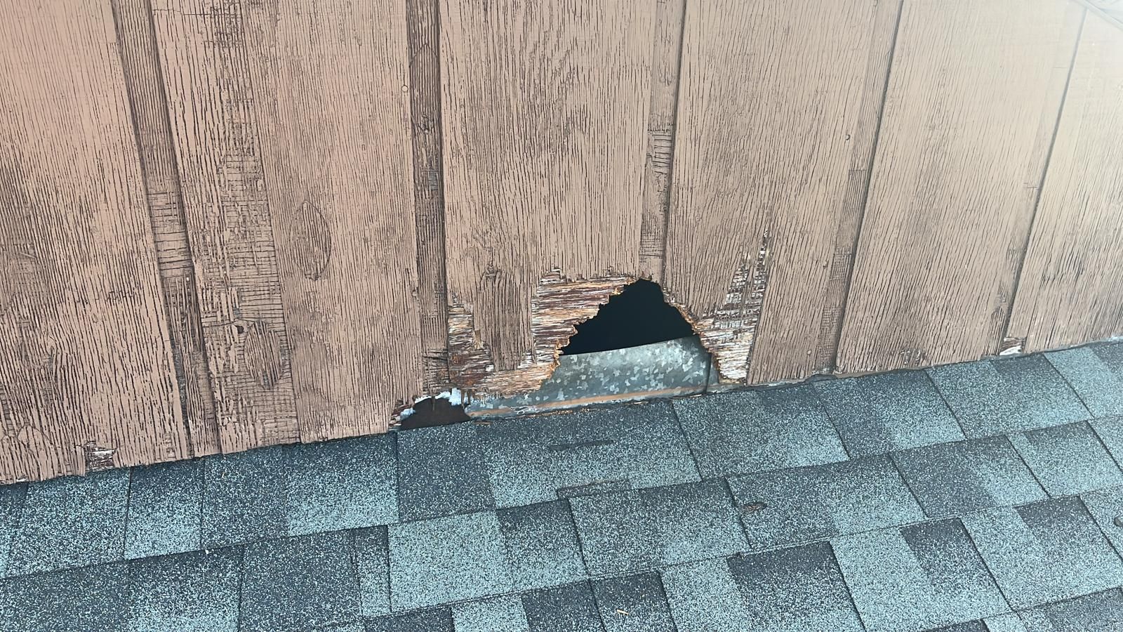 Gable end siding and sheathing repair on a Florida home — photo 5