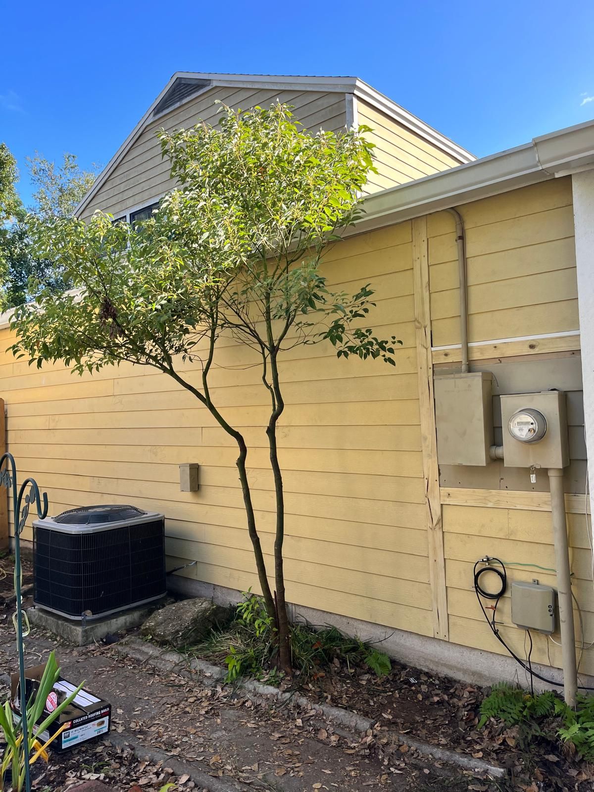 Whole-home siding replacement with new weather barrier and lap siding — photo 1